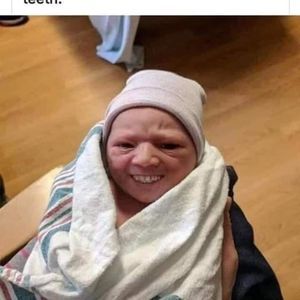 Meet your Posher, Brock